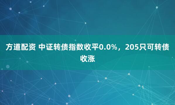 方道配资 中证转债指数收平0.0%，205只可转债收涨