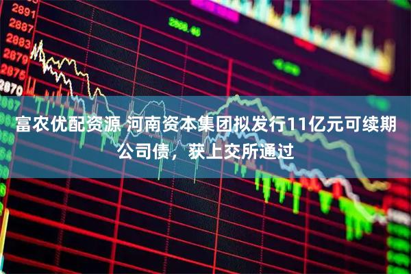 富农优配资源 河南资本集团拟发行11亿元可续期公司债，获上交所通过