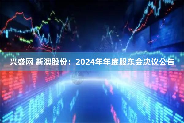兴盛网 新澳股份：2024年年度股东会决议公告